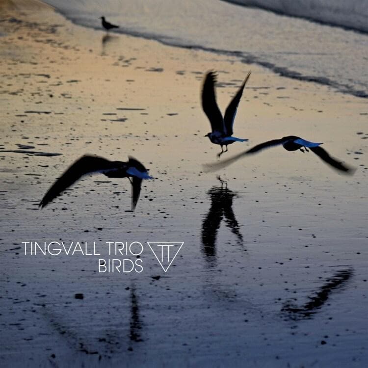 Album afbeelding 1 van 2