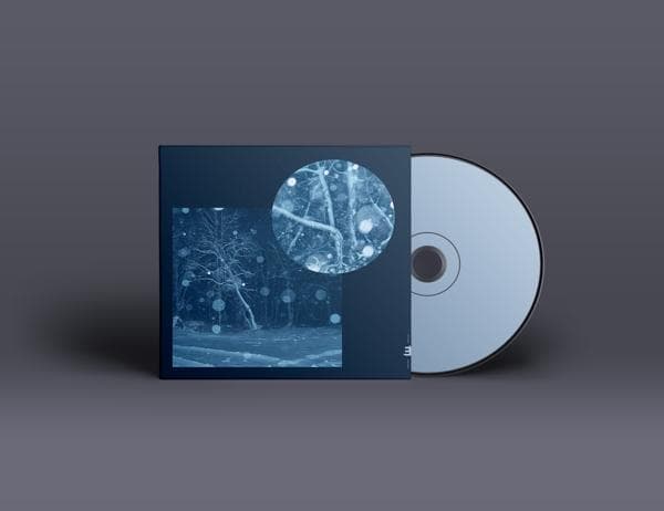 Album afbeelding 1 van 1
