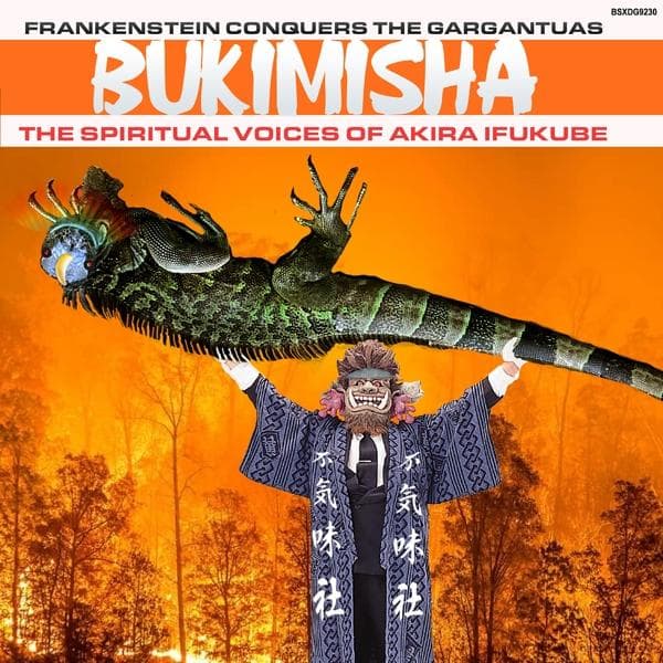 Album image