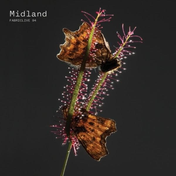 Album afbeelding 1 van 2