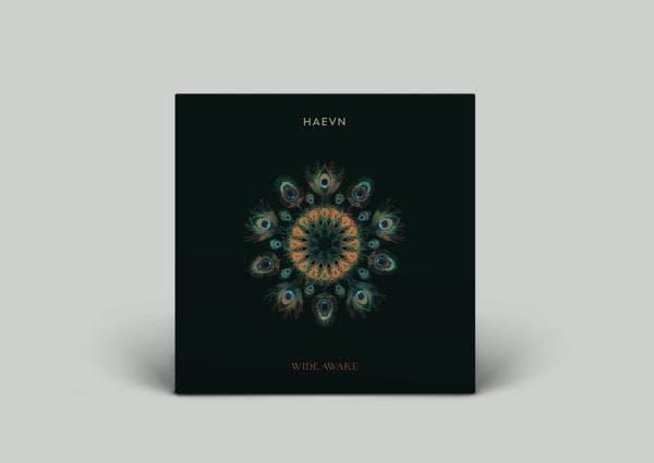 Album afbeelding 1 van 1