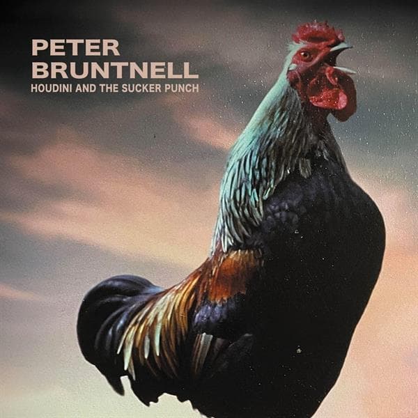 Album afbeelding 1 van 1
