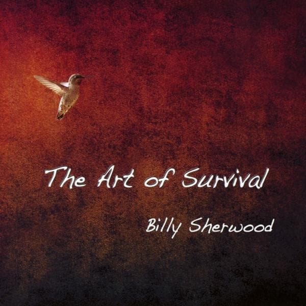 Album afbeelding 1 van 1
