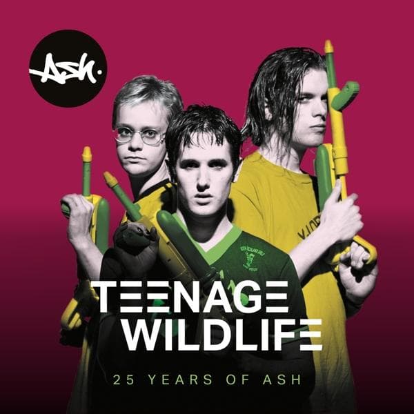 Album image