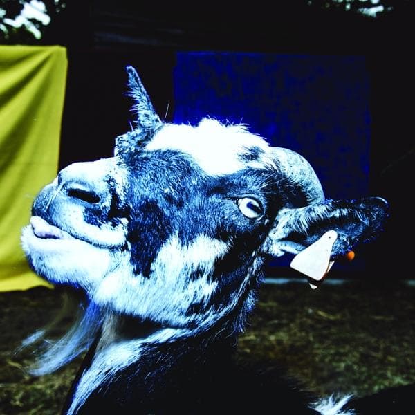 Album afbeelding 1 van 1