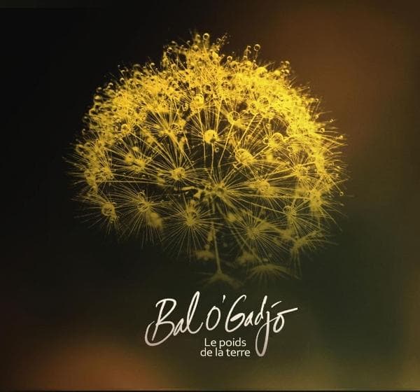 Album afbeelding 1 van 1