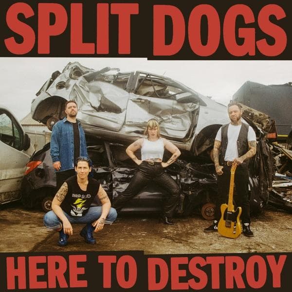 Album image