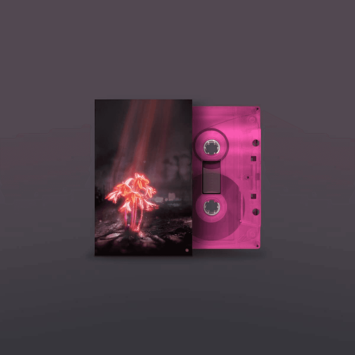 Album afbeelding 1 van 1