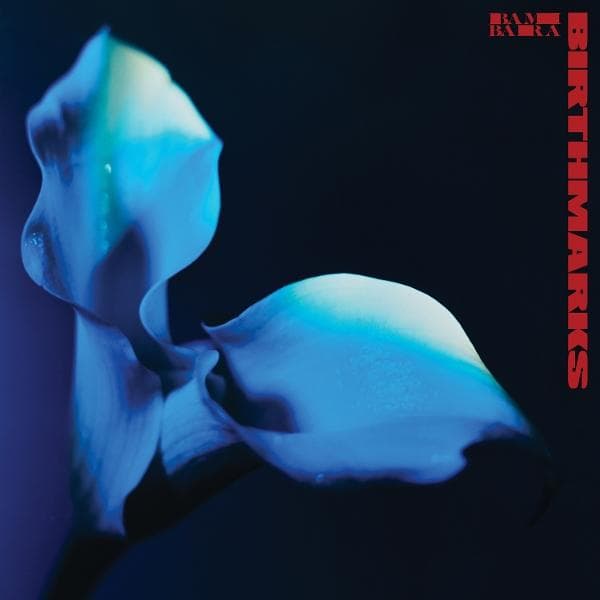 Album afbeelding 1 van 1