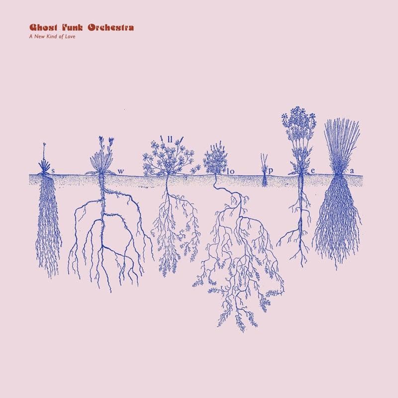 Album afbeelding 1 van 1