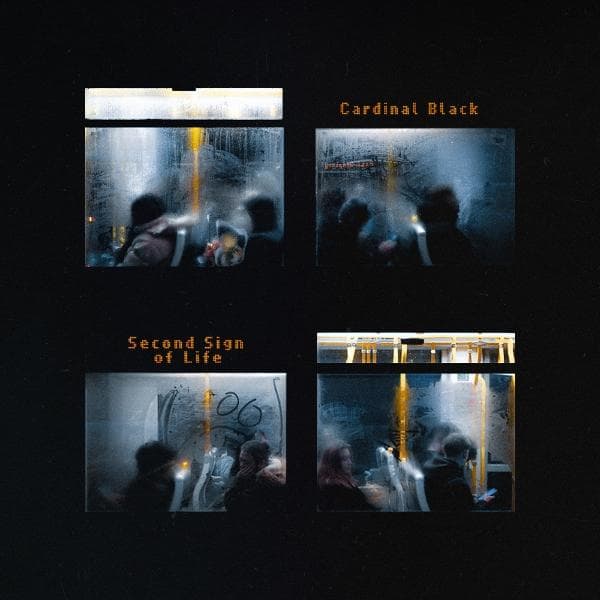 Album afbeelding 1 van 1