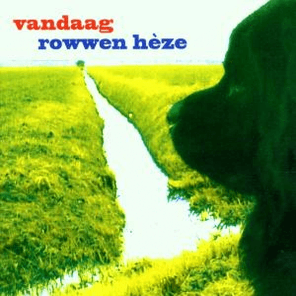 Album afbeelding 1 van 1