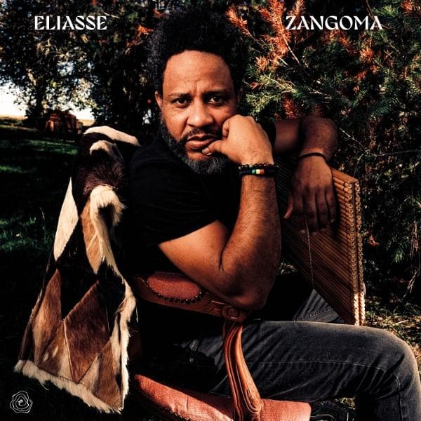 Album afbeelding 1 van 1