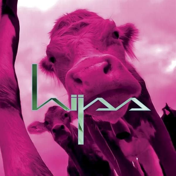 Album afbeelding 1 van 1