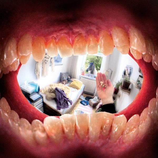 Album afbeelding 1 van 1