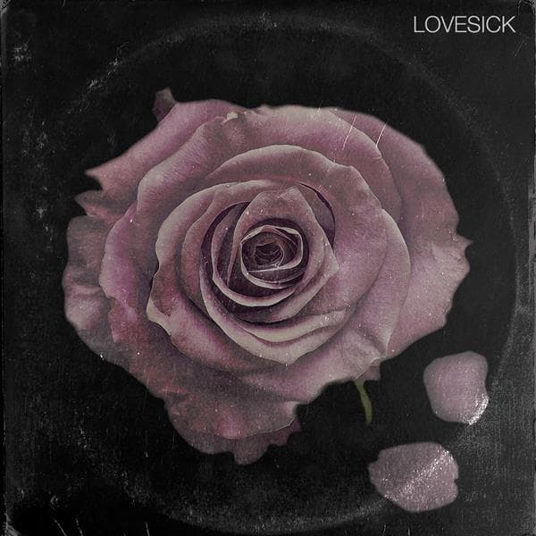 Album afbeelding 1 van 1