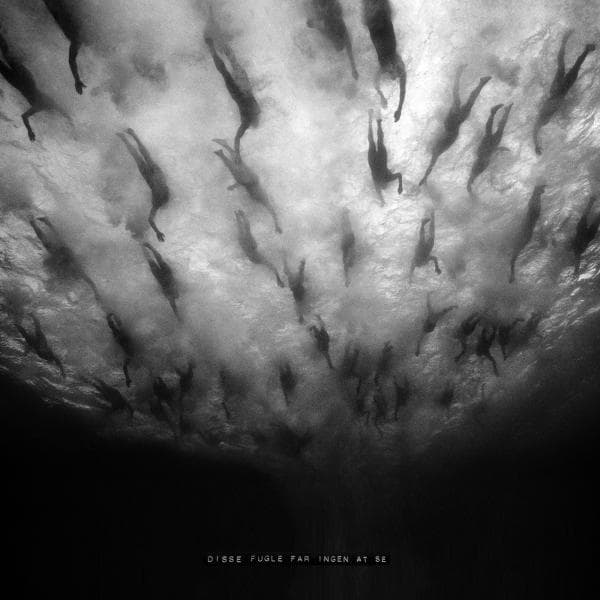 Album afbeelding 1 van 1