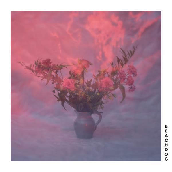 Album afbeelding 1 van 1