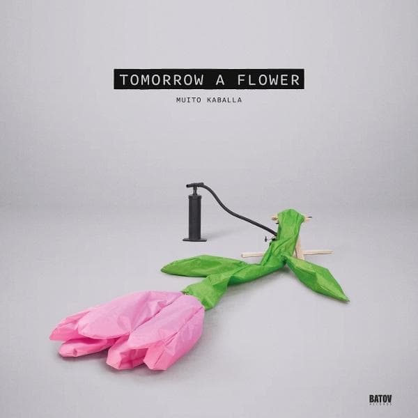Album afbeelding 1 van 1
