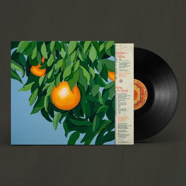 Album afbeelding 1 van 1