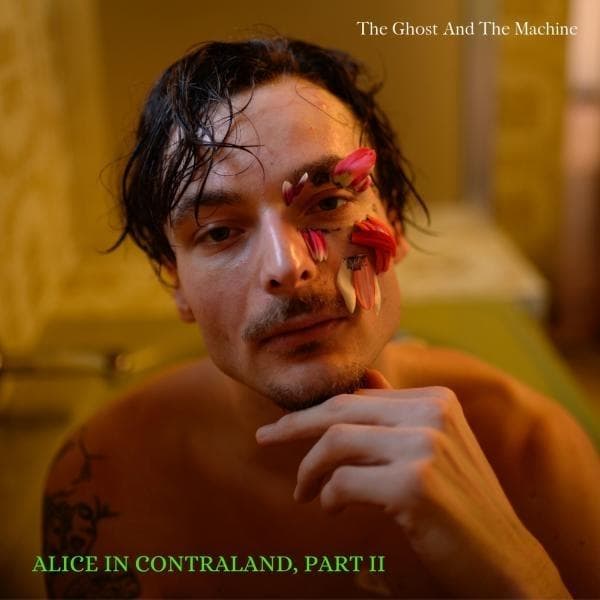 Album afbeelding 1 van 1