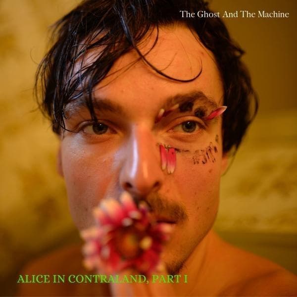 Album afbeelding 1 van 1
