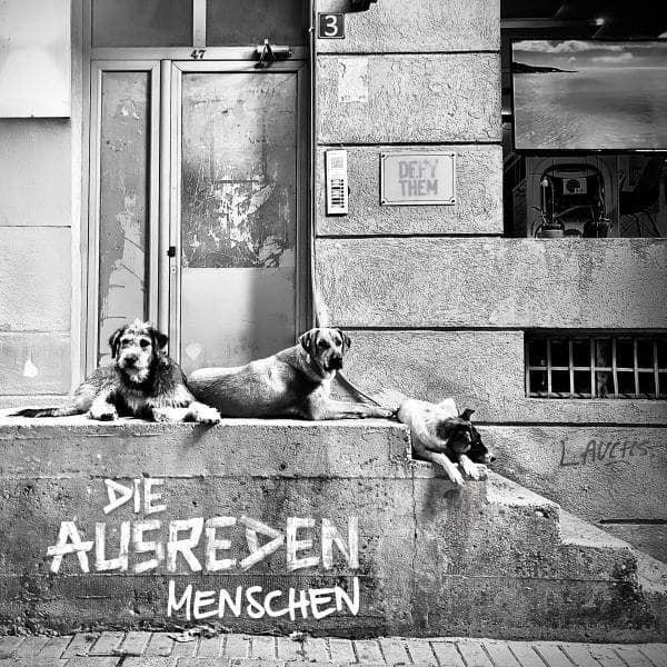 Album afbeelding 1 van 1