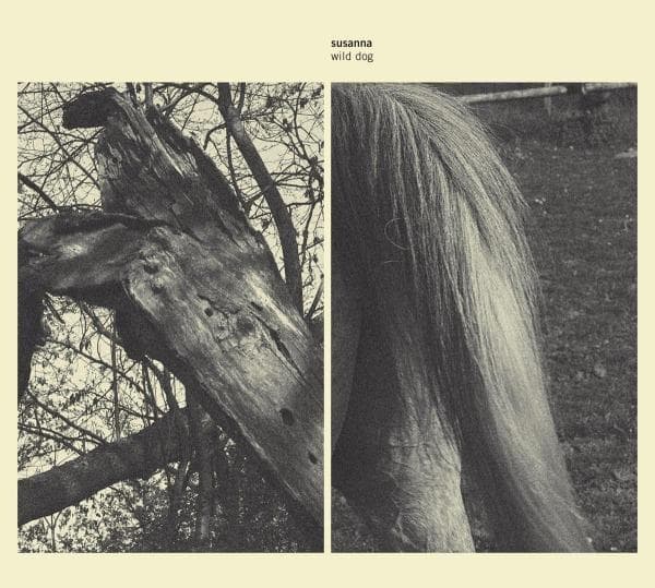 Album afbeelding 1 van 1