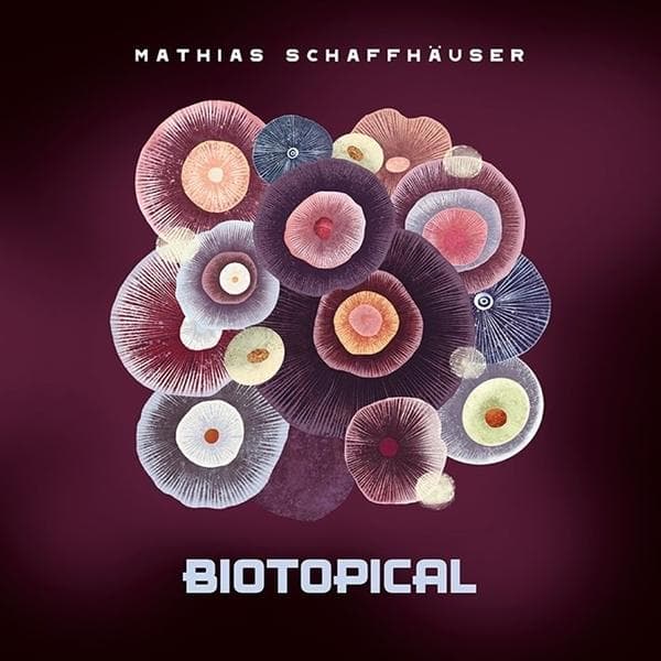 Album afbeelding 1 van 1