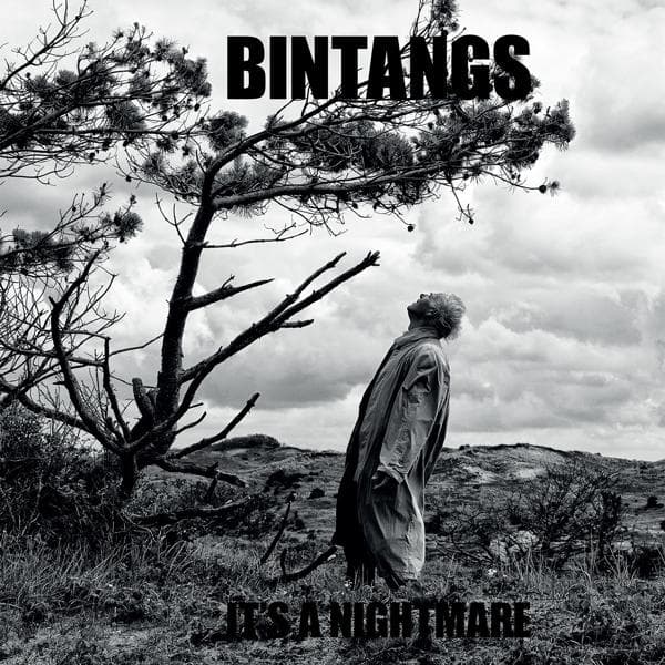 Album afbeelding 1 van 1