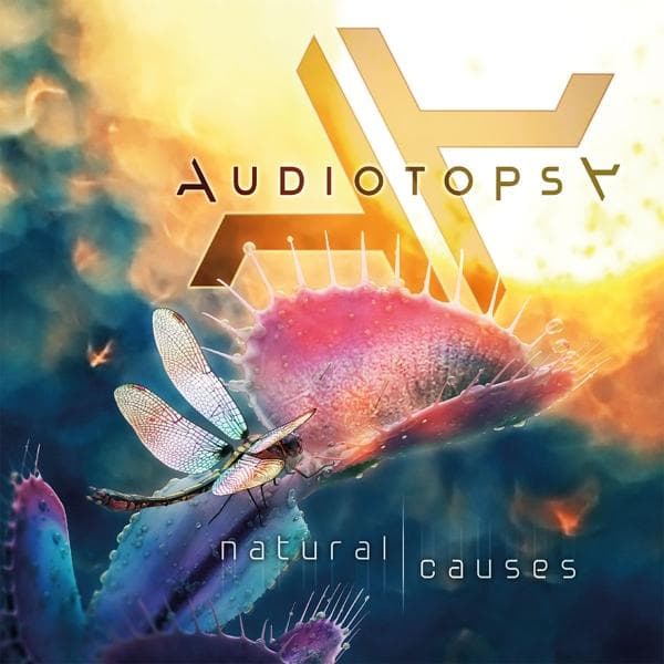 Album afbeelding 1 van 1
