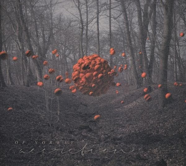 Album afbeelding 1 van 2