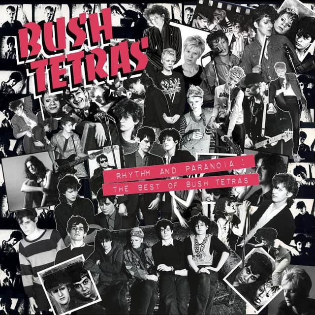 Album image