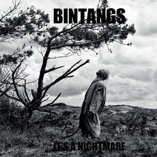 Album afbeelding 1 van 1
