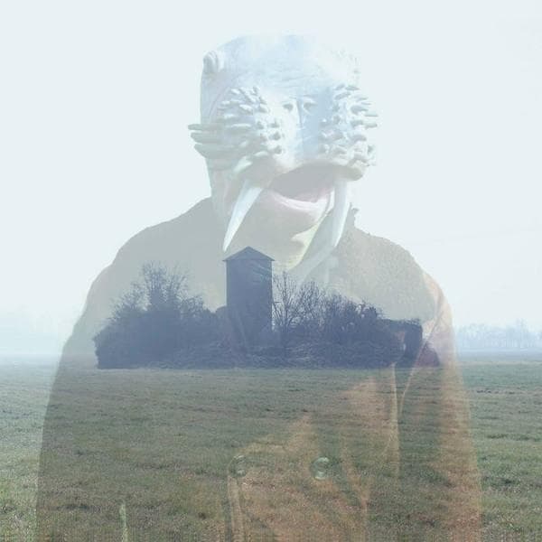 Album afbeelding 1 van 1