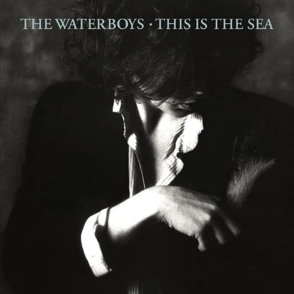 Album afbeelding 1 van 2
