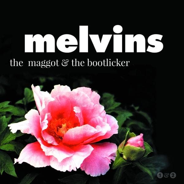 Album afbeelding 1 van 2