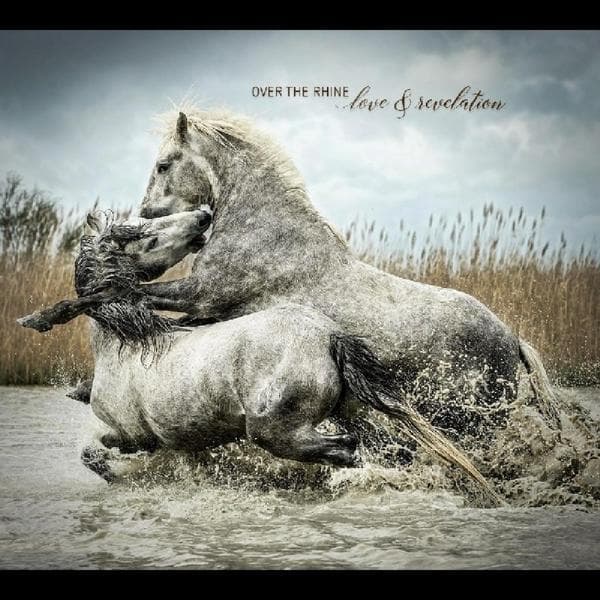 Album afbeelding 1 van 1