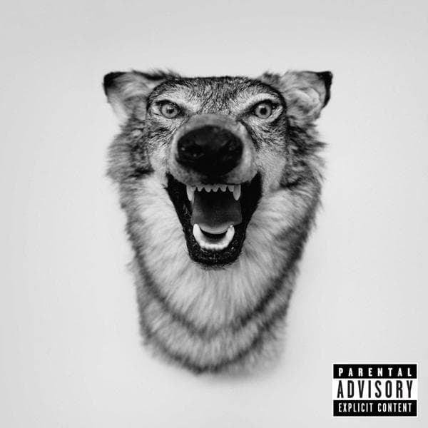 Album afbeelding 1 van 2