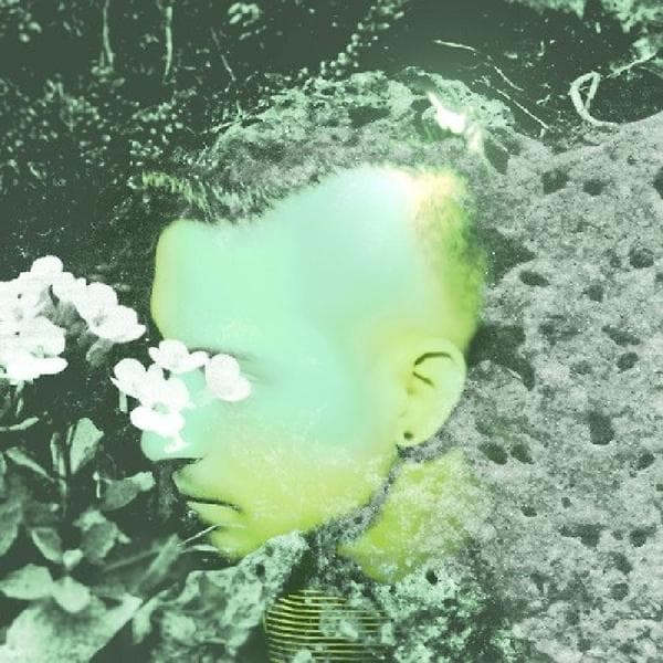 Album afbeelding 1 van 1