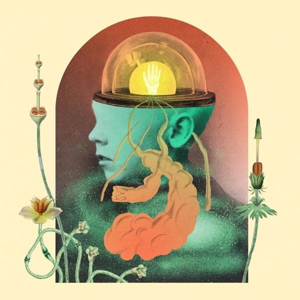 Album afbeelding 1 van 3