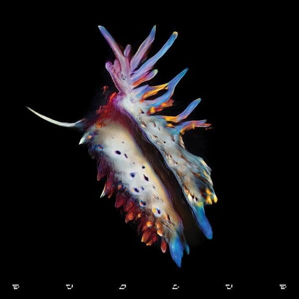 Album afbeelding 1 van 1