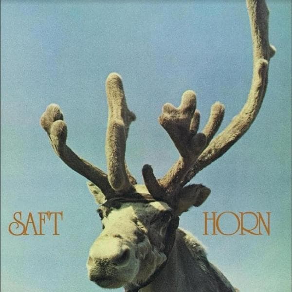 Album afbeelding 1 van 1