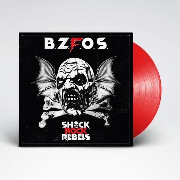 Album afbeelding 2 van 3