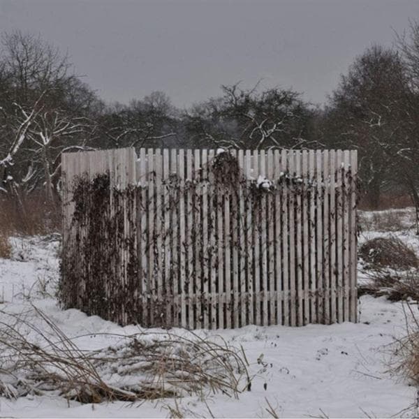 Album afbeelding 1 van 1