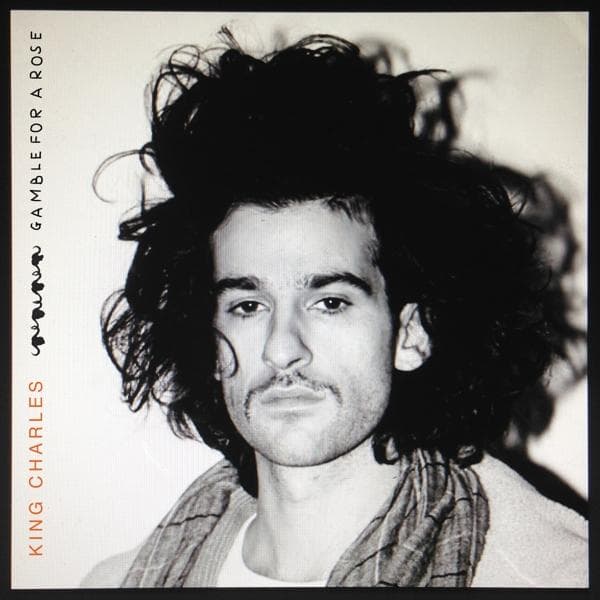 Album afbeelding 1 van 1