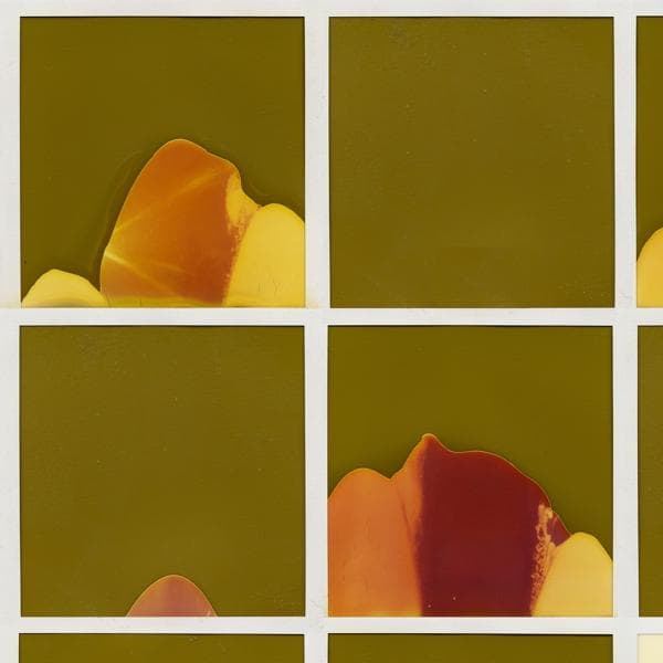 Album afbeelding 1 van 1
