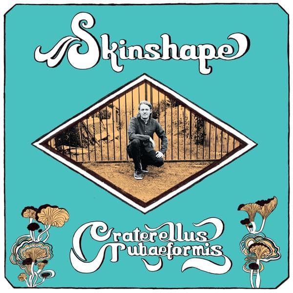 Album afbeelding 1 van 1