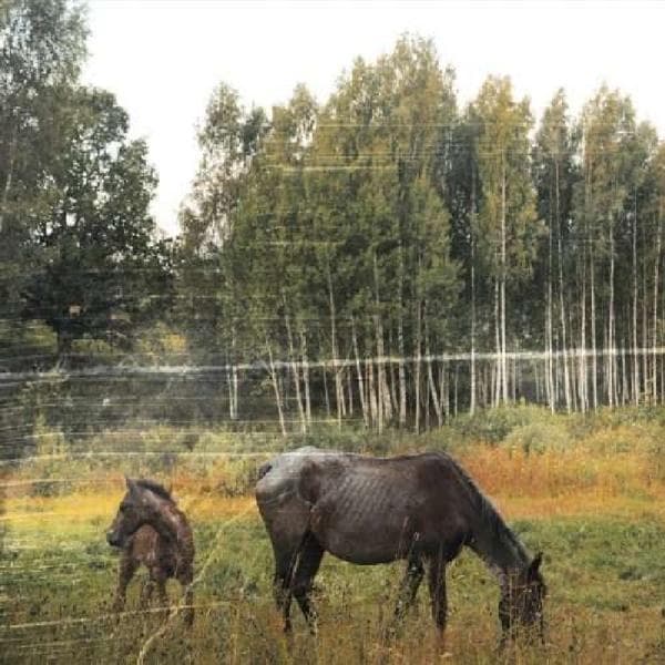 Album afbeelding 1 van 1
