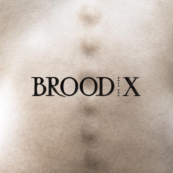 Album afbeelding 1 van 1